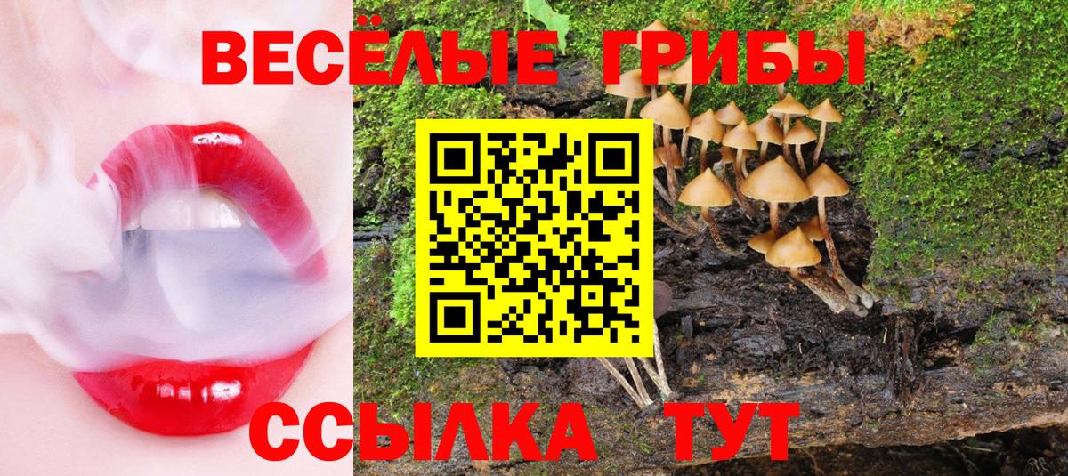 Петропавловск-Камчатский  Галлюциногенные грибы мицелий  Вход с VPN  купить наркотики цена  Галлюциногенные грибы Psilocybine cubensis 