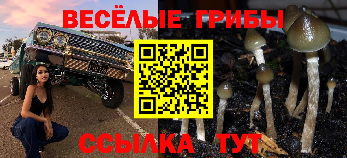 Псилоцибиновые грибы Cubensis Петропавловск-Камчатский